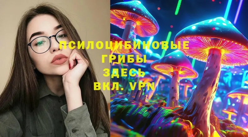 OMG зеркало  Аша  Псилоцибиновые грибы Psilocybe  закладки 